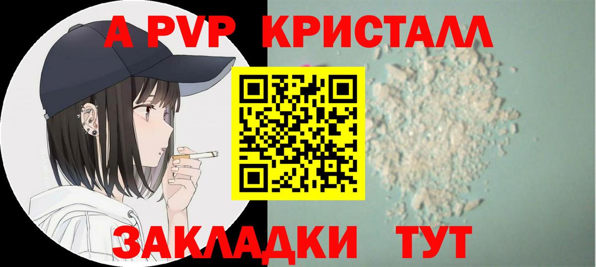 Кудрово  как найти наркотики  Вход с VPN  Alfa_PVP кристаллы  A-PVP VHQ  A PVP Соль 
