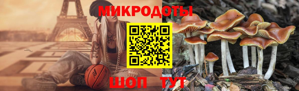 Галлюциногенные грибы мухоморы  как найти закладки  Кудрово  Вход с VPN 